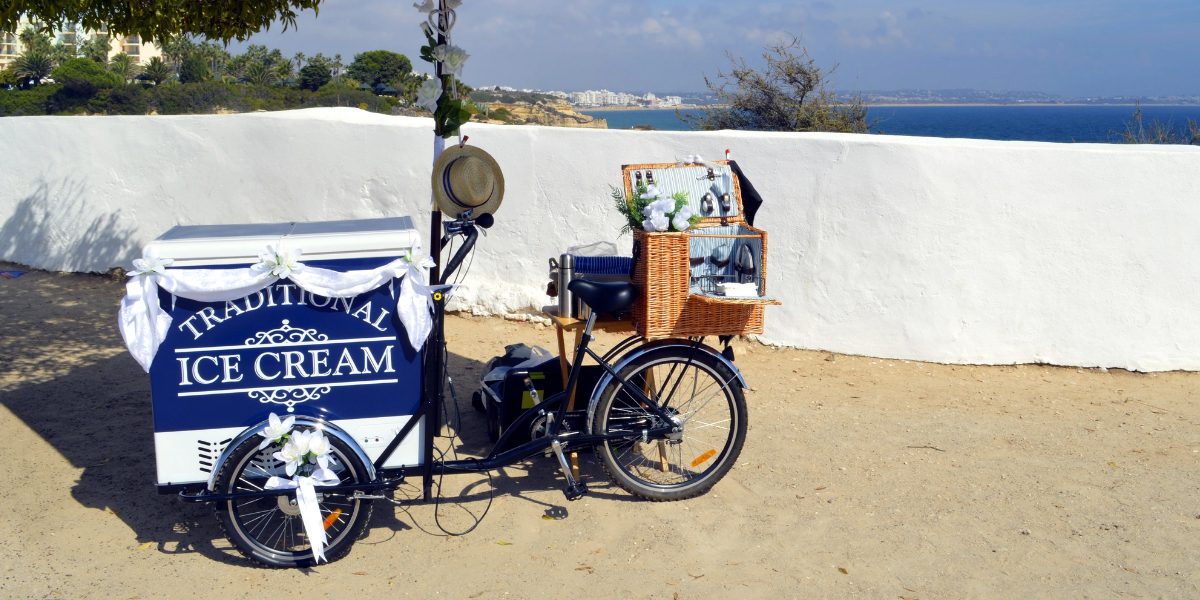ice cream cart business