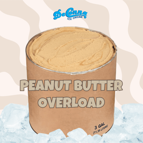 Peanut Butter Overload ice cream in a 3 gallon DeConna tub with creamy peanut-butter base and tiny nutty flecks.